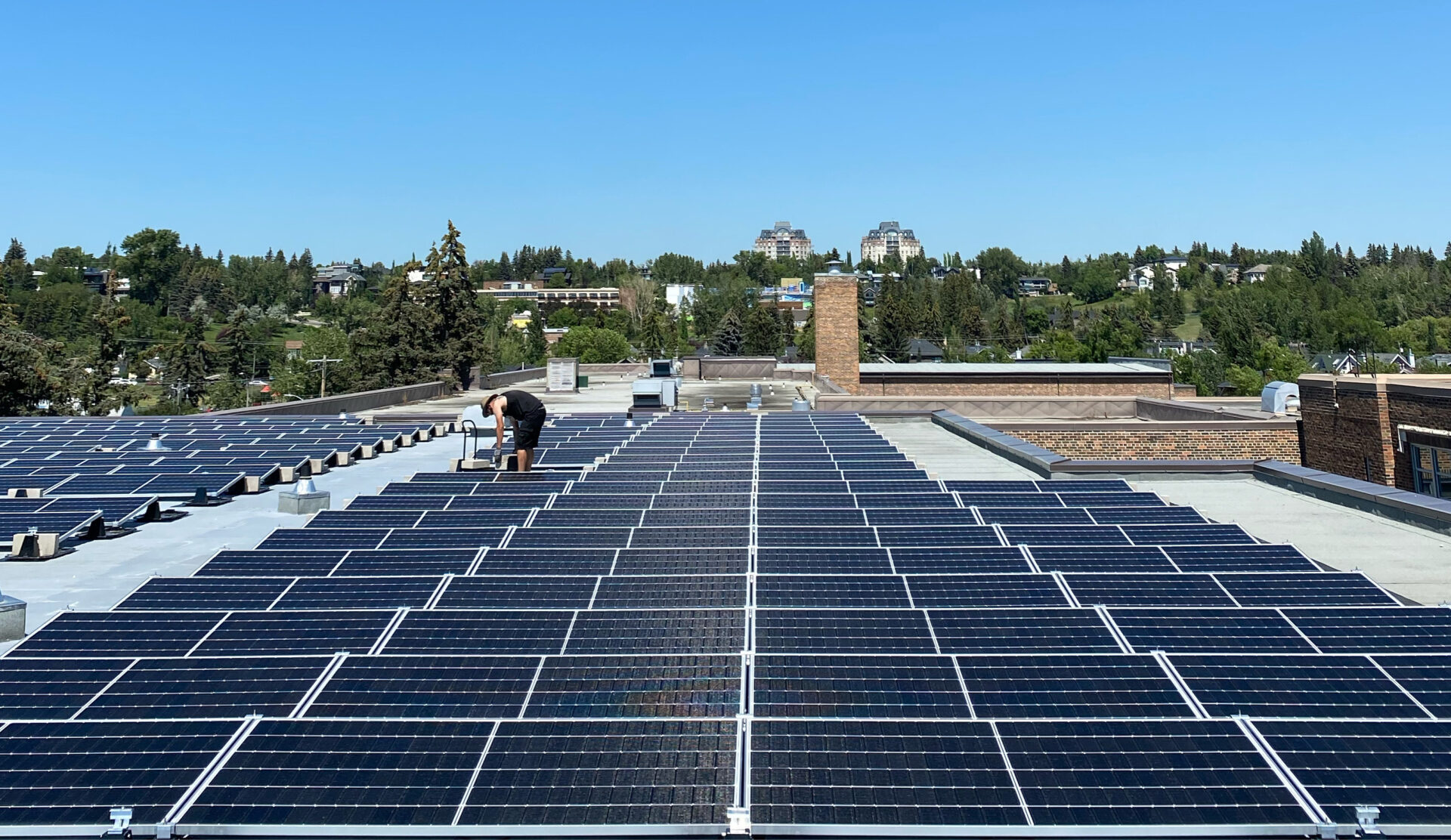A person is working amidst a large array of solar panels on a flat roof with trees and buildings in the background under a clear blue sky.